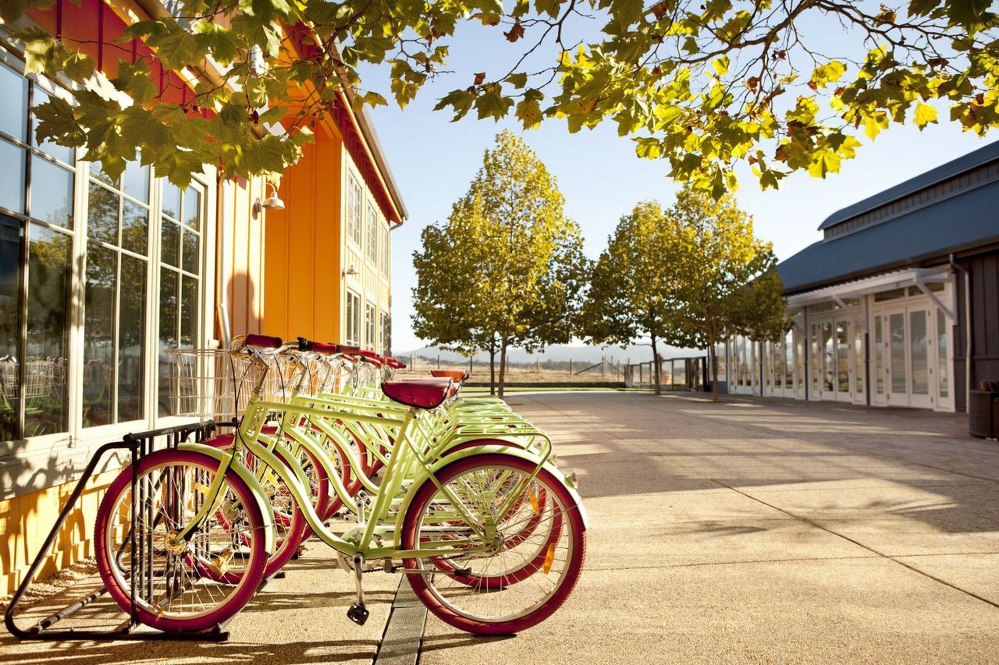 Carneros Resort And Spa Napa Exteriér fotografie